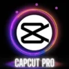 CapCut PRO 1 YEAR SUBSCRIPTION TO YOUR ACCOUNT